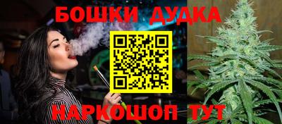 индика Апшеронск
