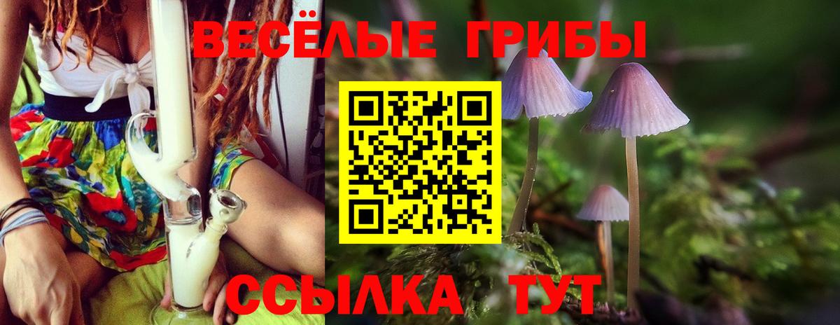 Галлюциногенные грибы ЛСД Верхняя Пышма